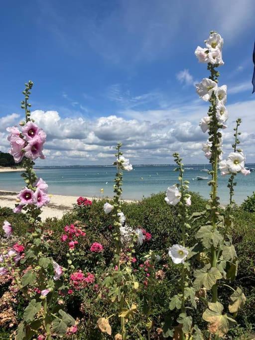 Appartement Belles Vacances Quiberon Bagian luar foto